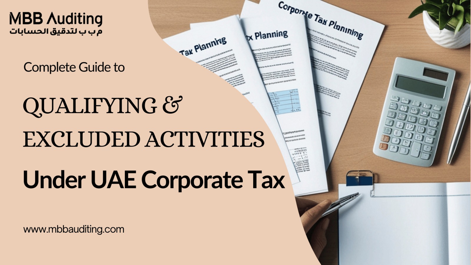 Ministerial Decision No. 229 of 2025